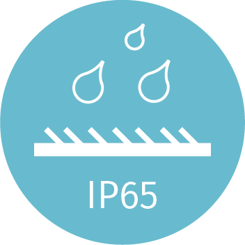 IP65