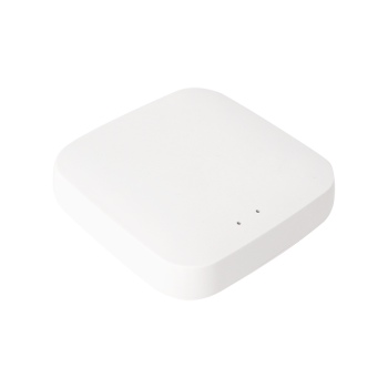 WiFi Gateway  for TUYA bluetooth items 